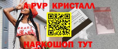 гашик Будённовск